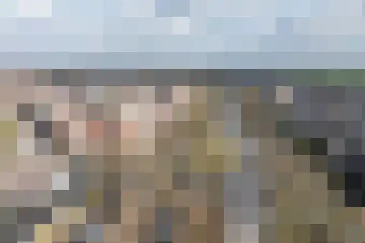 Runde NZ 169 Emmer-Compascuum thumbnail 35