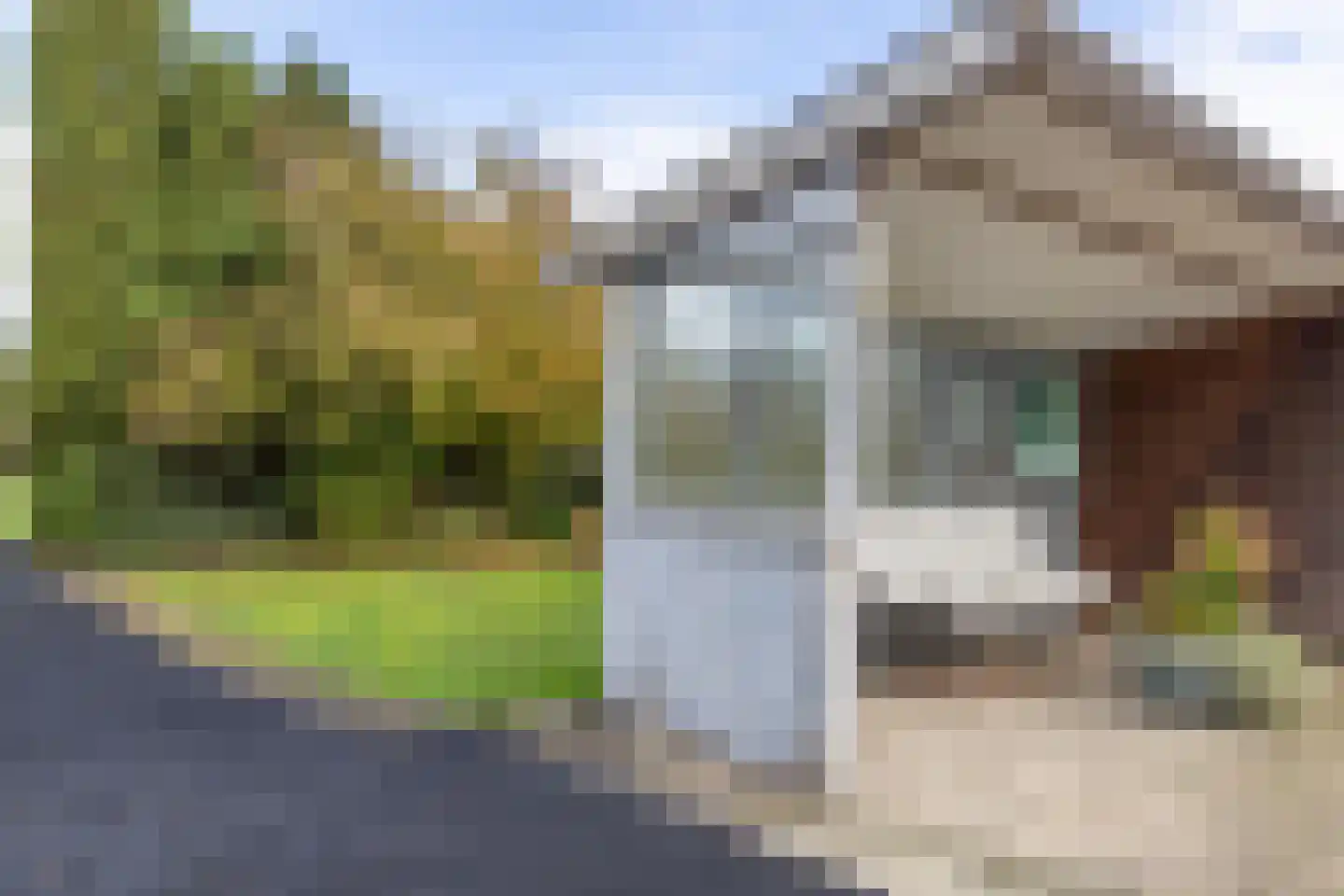 Runde NZ 72 Emmer-Compascuum thumbnail 22