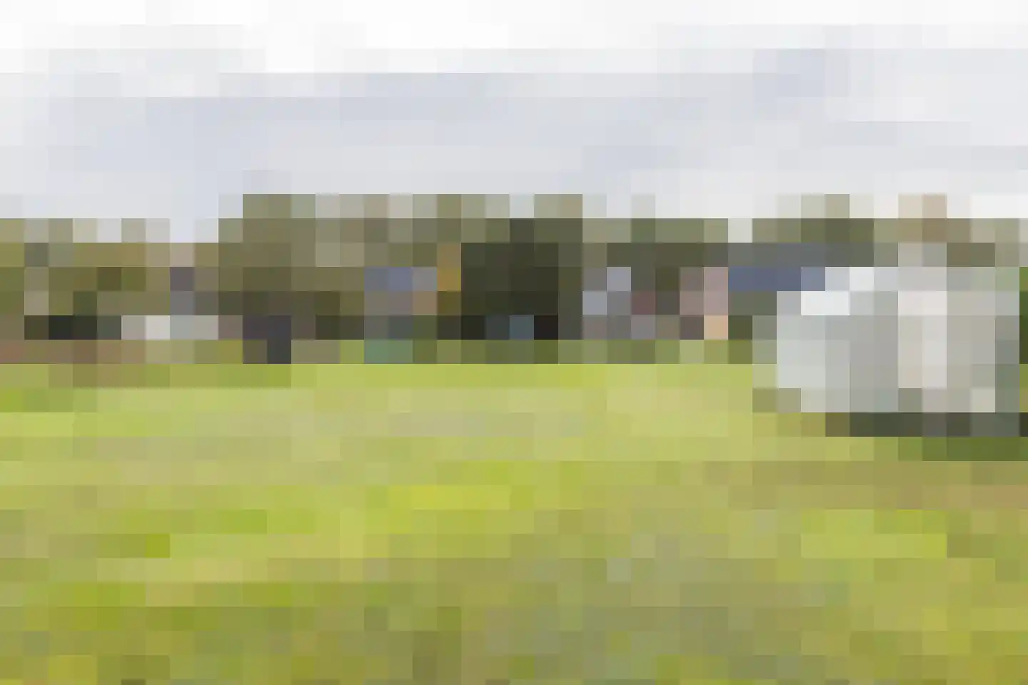 Runde NZ 72 Emmer-Compascuum thumbnail 24