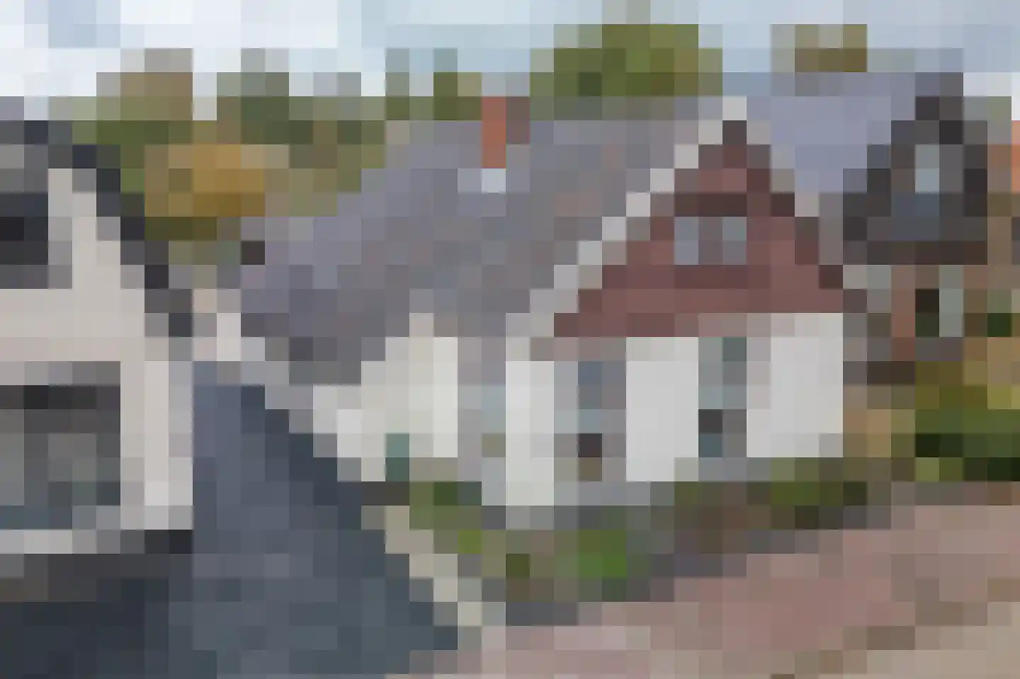 Runde NZ 72 Emmer-Compascuum thumbnail 26