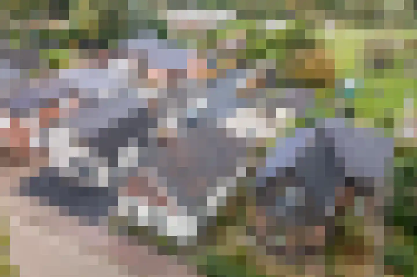 Runde NZ 72 Emmer-Compascuum thumbnail 27
