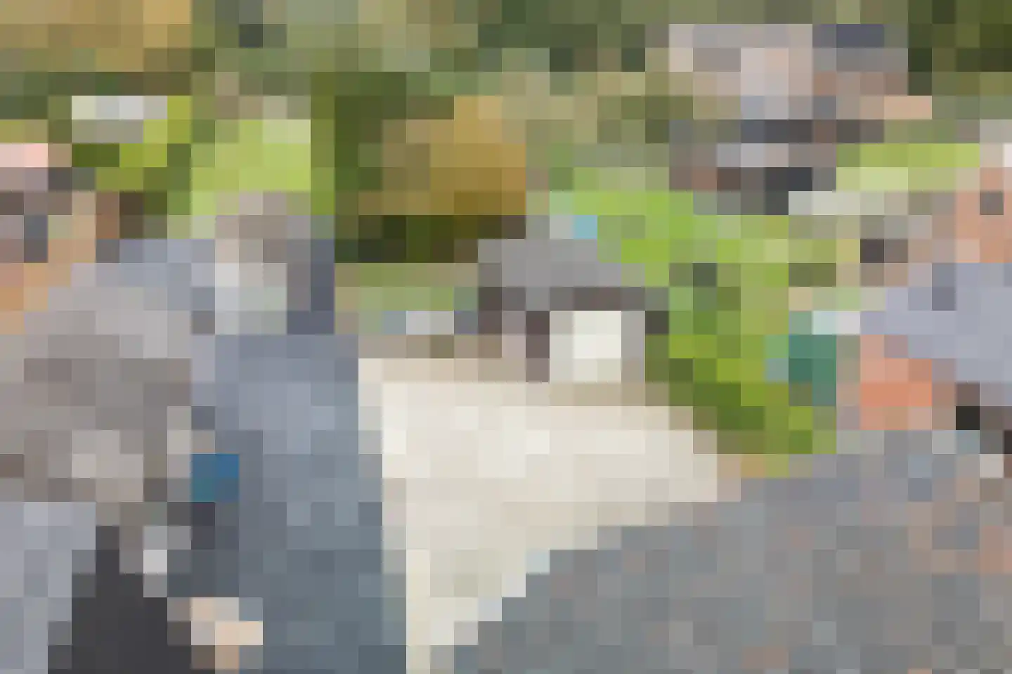 Runde NZ 72 Emmer-Compascuum thumbnail 28