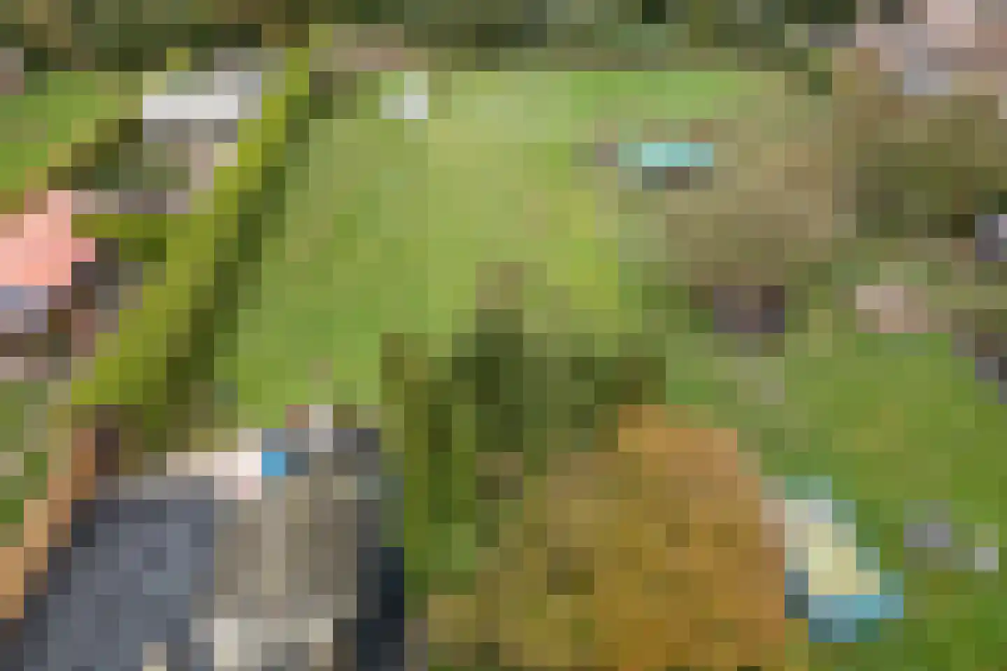 Runde NZ 72 Emmer-Compascuum thumbnail 31