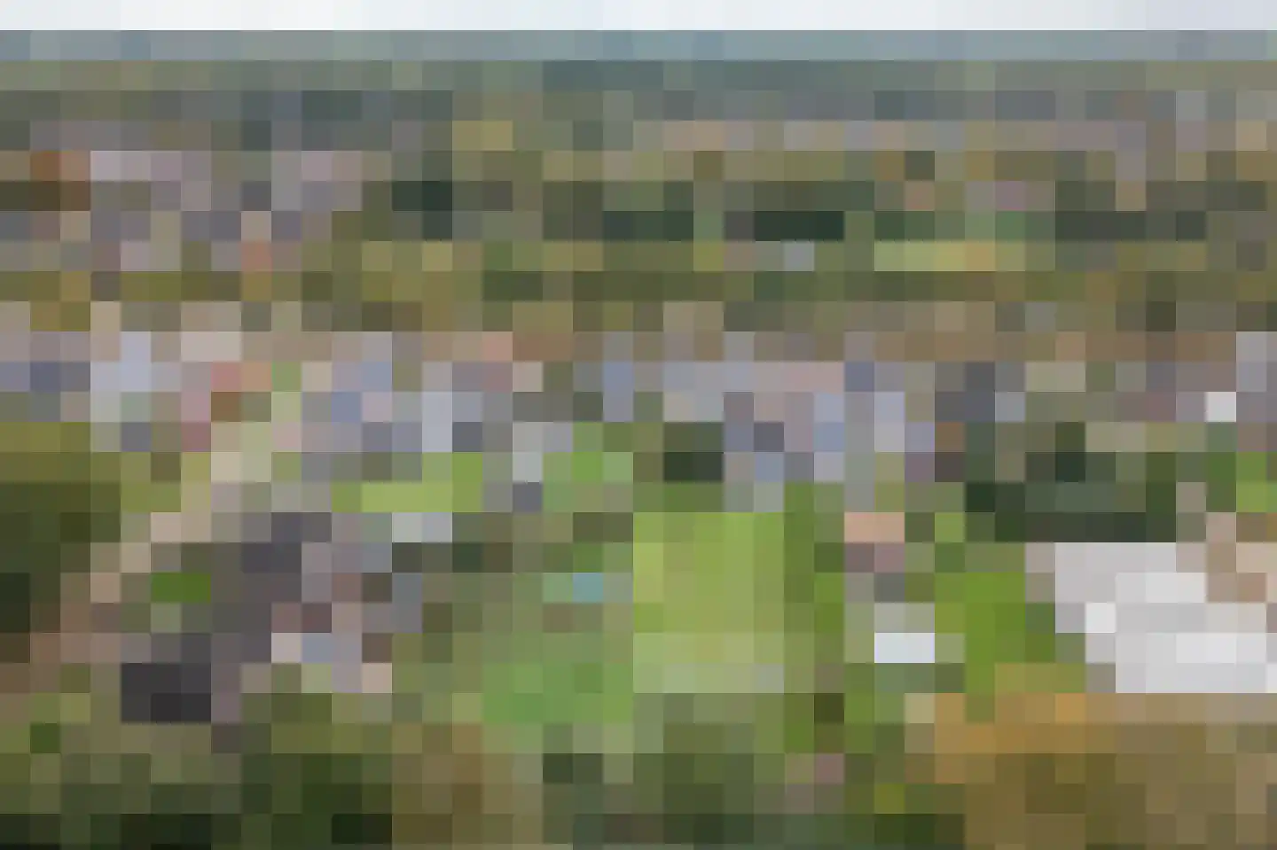 Runde NZ 72 Emmer-Compascuum thumbnail 32