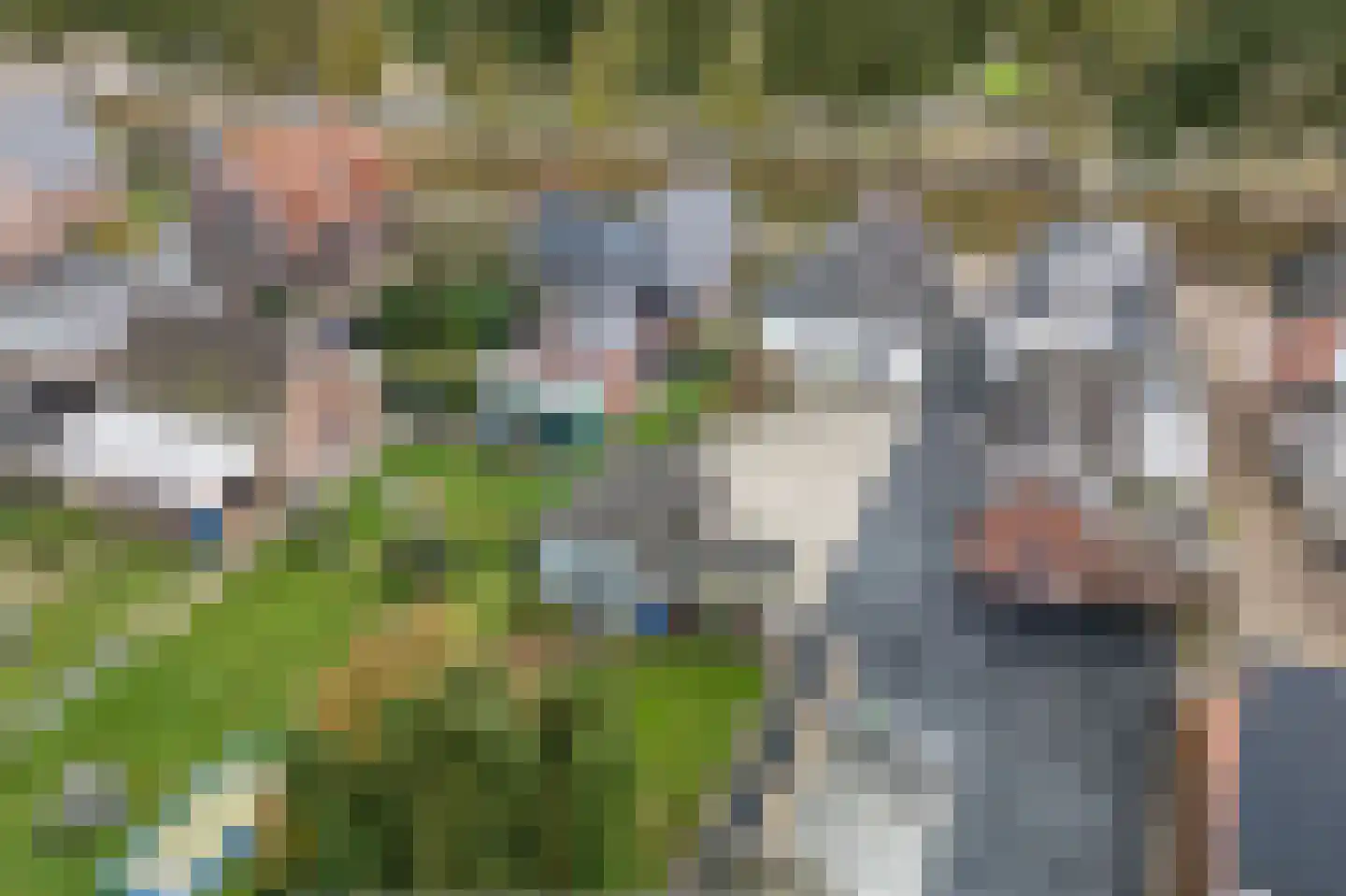 Runde NZ 72 Emmer-Compascuum thumbnail 33