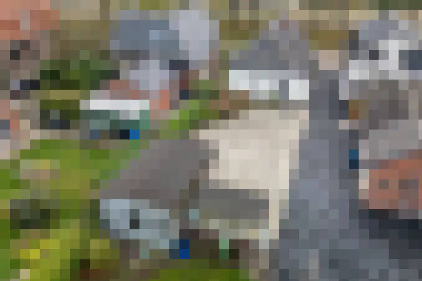 Runde NZ 72 Emmer-Compascuum thumbnail 34