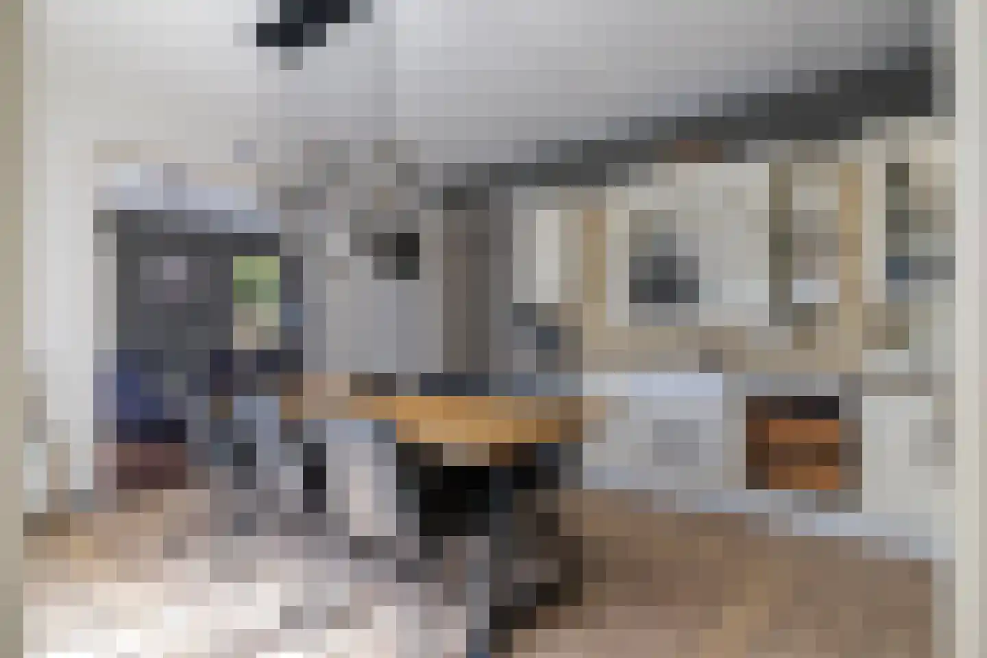 Runde ZZ 47 Emmer-Compascuum thumbnail 24