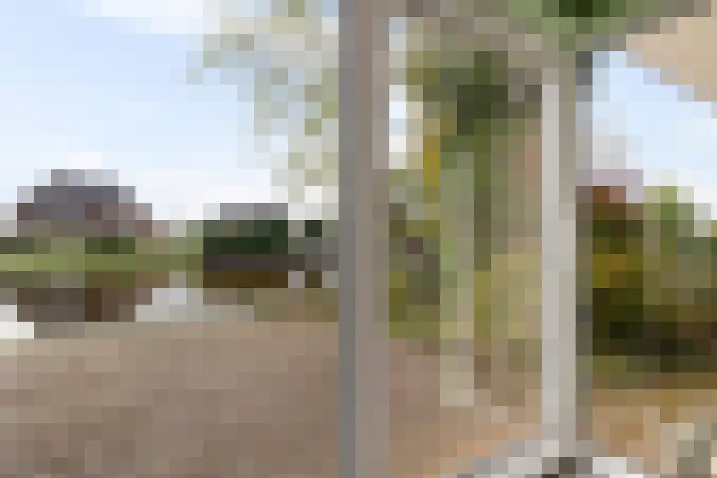 Rundedal 13 Ter Apel thumbnail 20