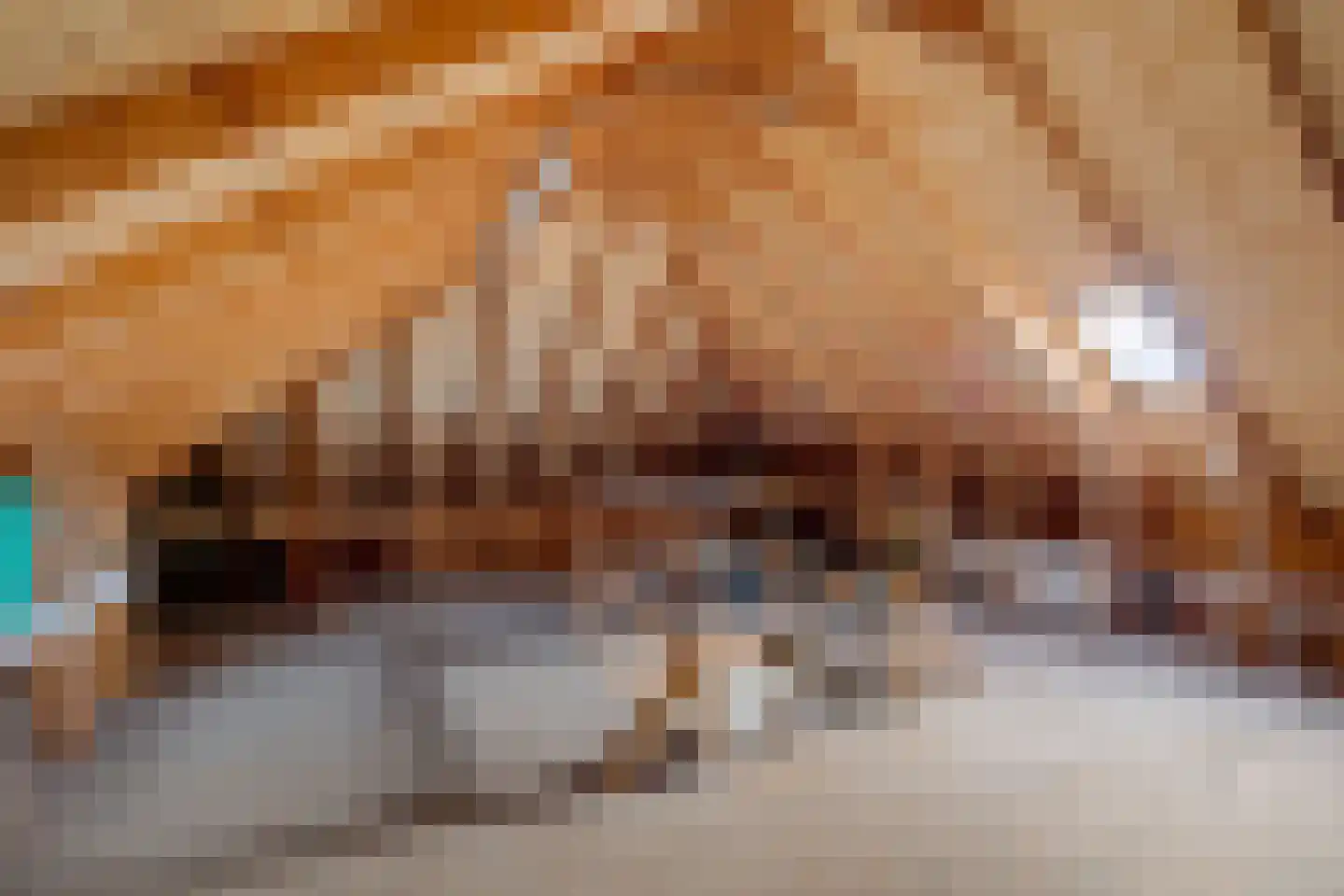 Rundedal 13 Ter Apel thumbnail 36