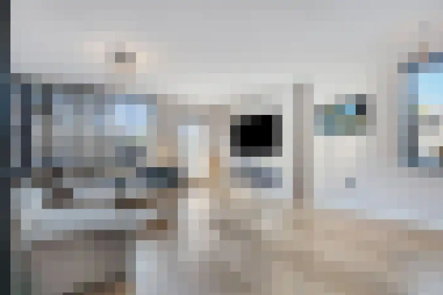 Runderweide 17 Zoetermeer thumbnail 10