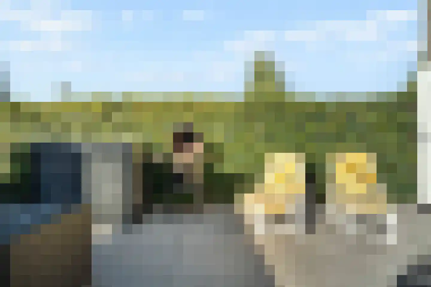 Runderweide 17 Zoetermeer thumbnail 14