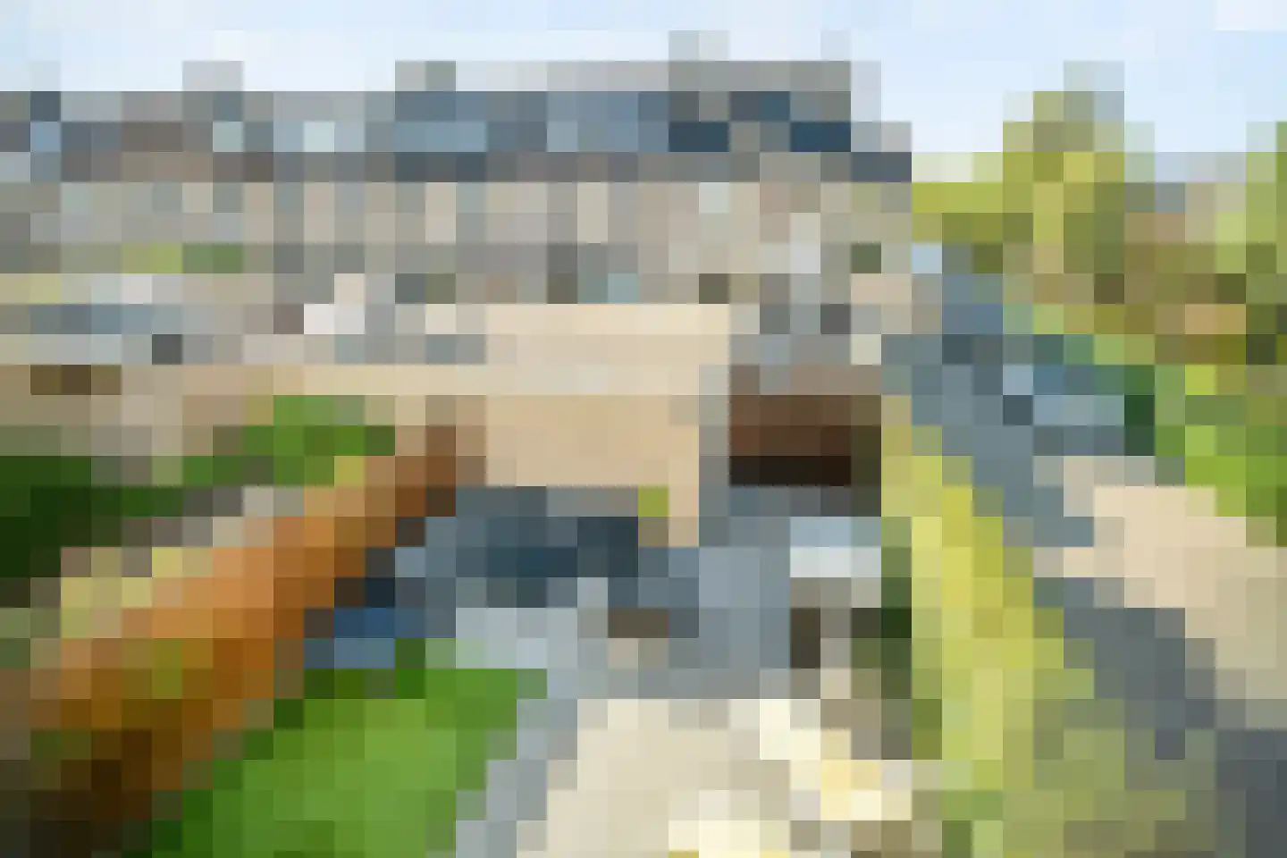 Runderweide 17 Zoetermeer thumbnail 36