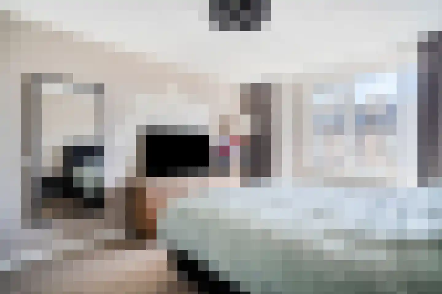 Runderweide 17 Zoetermeer thumbnail 37