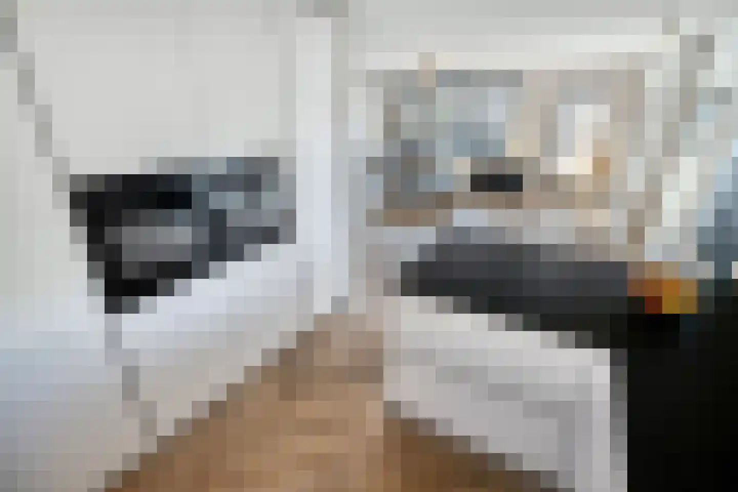 Runderweide 17 Zoetermeer thumbnail 8