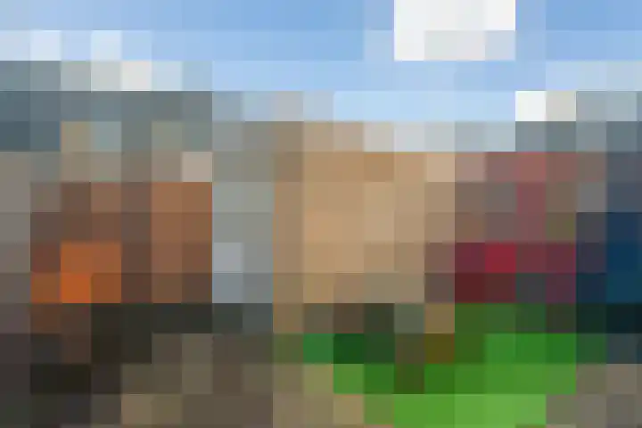 Runderweide 3 Zoetermeer thumbnail 14