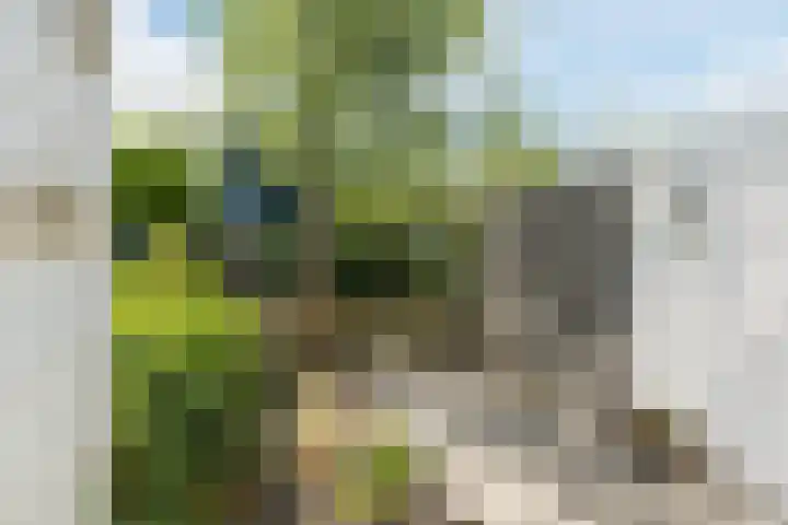 Runderweide 3 Zoetermeer thumbnail 16