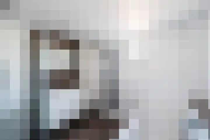 Runderweide 3 Zoetermeer thumbnail 32