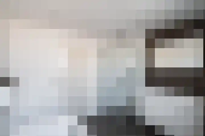 Runderweide 3 Zoetermeer thumbnail 33