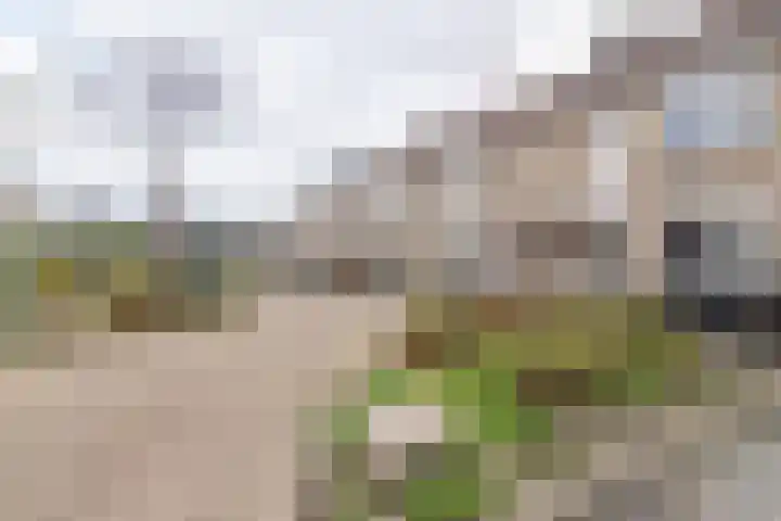 Runderweide 30 Zoetermeer thumbnail 26