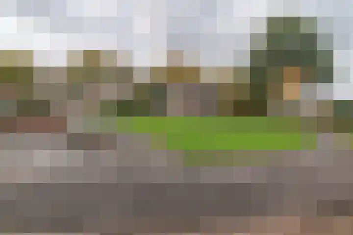 Runderweide 30 Zoetermeer thumbnail 27