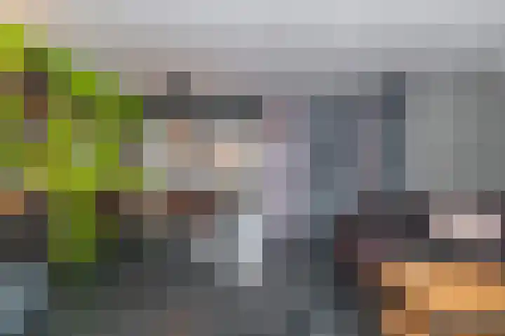 Runderweide 30 Zoetermeer thumbnail 4