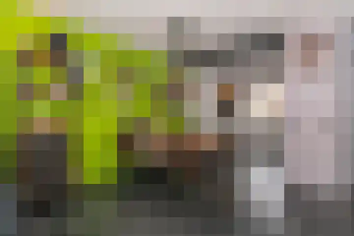 Runderweide 30 Zoetermeer thumbnail 5