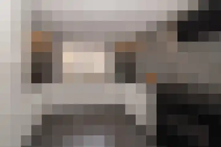 Runderweide 30 Zoetermeer thumbnail 6