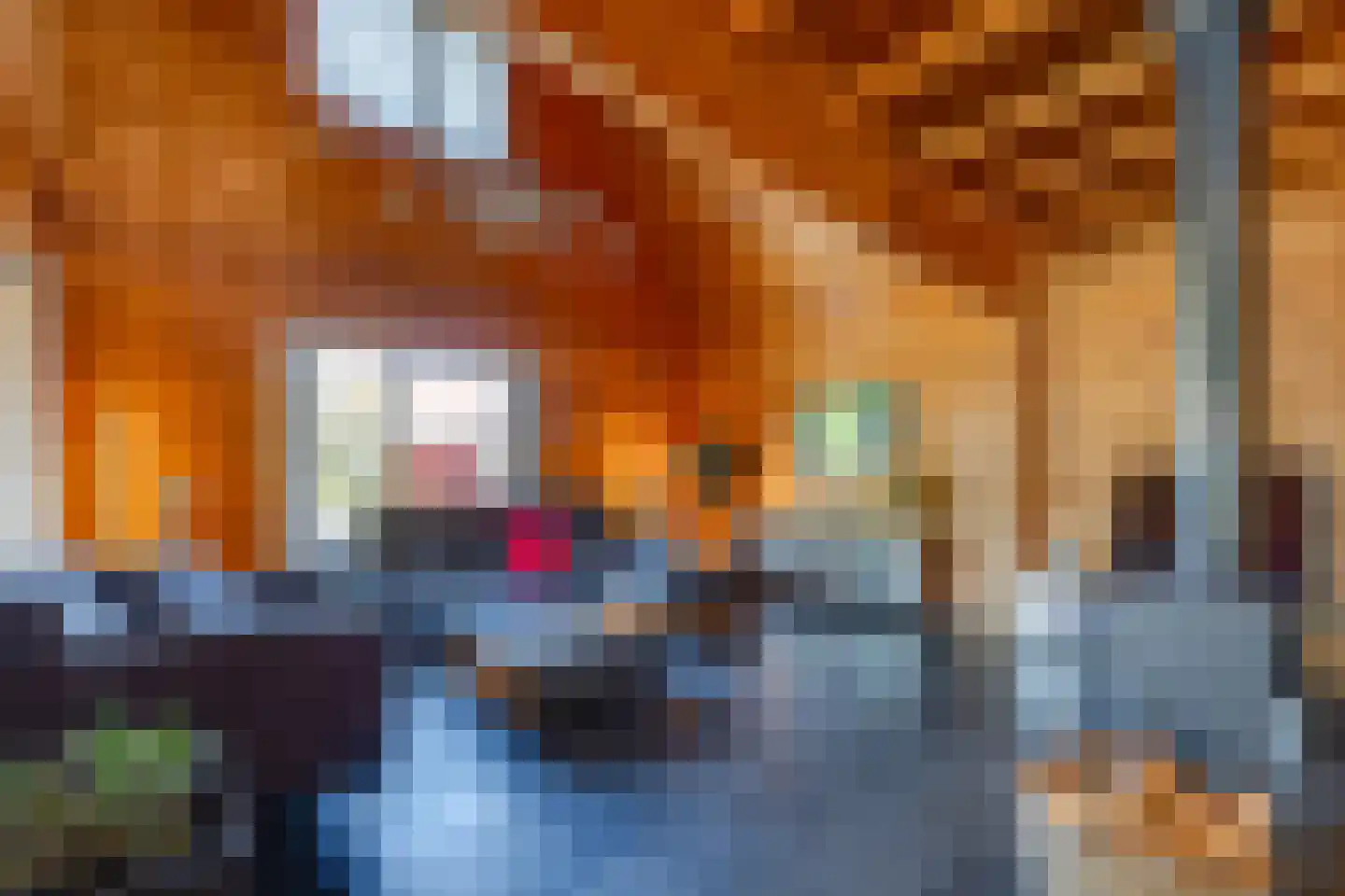 Rundezoom 33 Ter Apel thumbnail 10