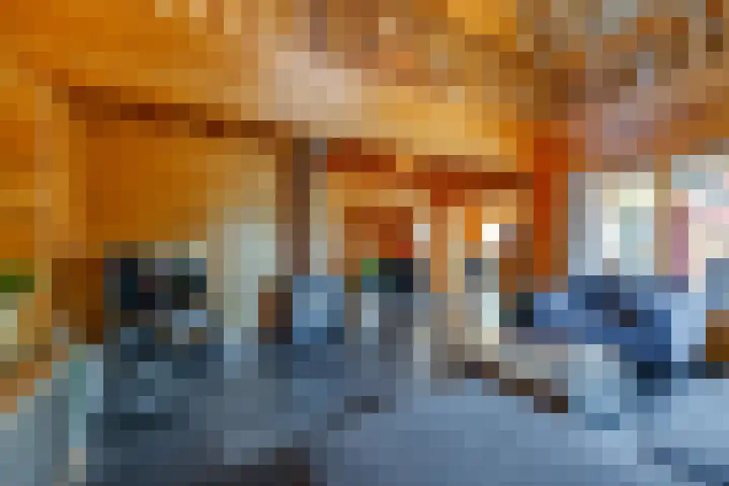 Rundezoom 33 Ter Apel thumbnail 12