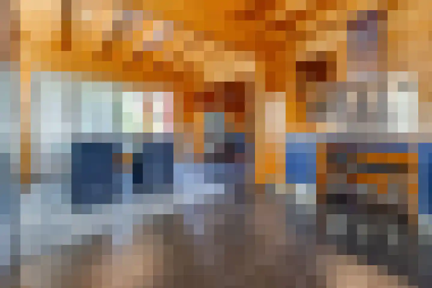 Rundezoom 33 Ter Apel thumbnail 19