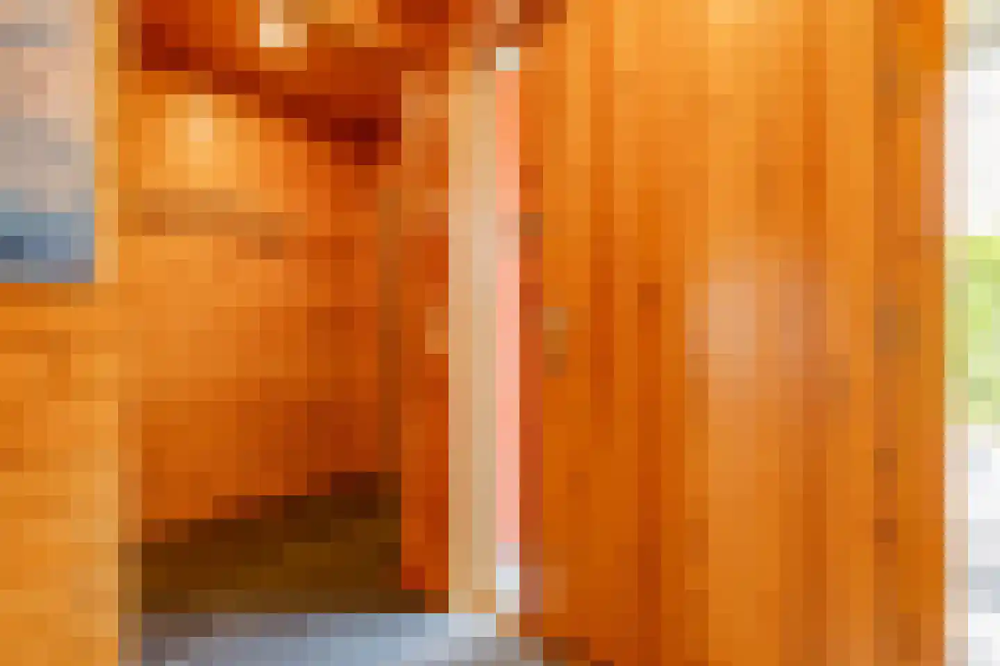 Rundezoom 33 Ter Apel thumbnail 20