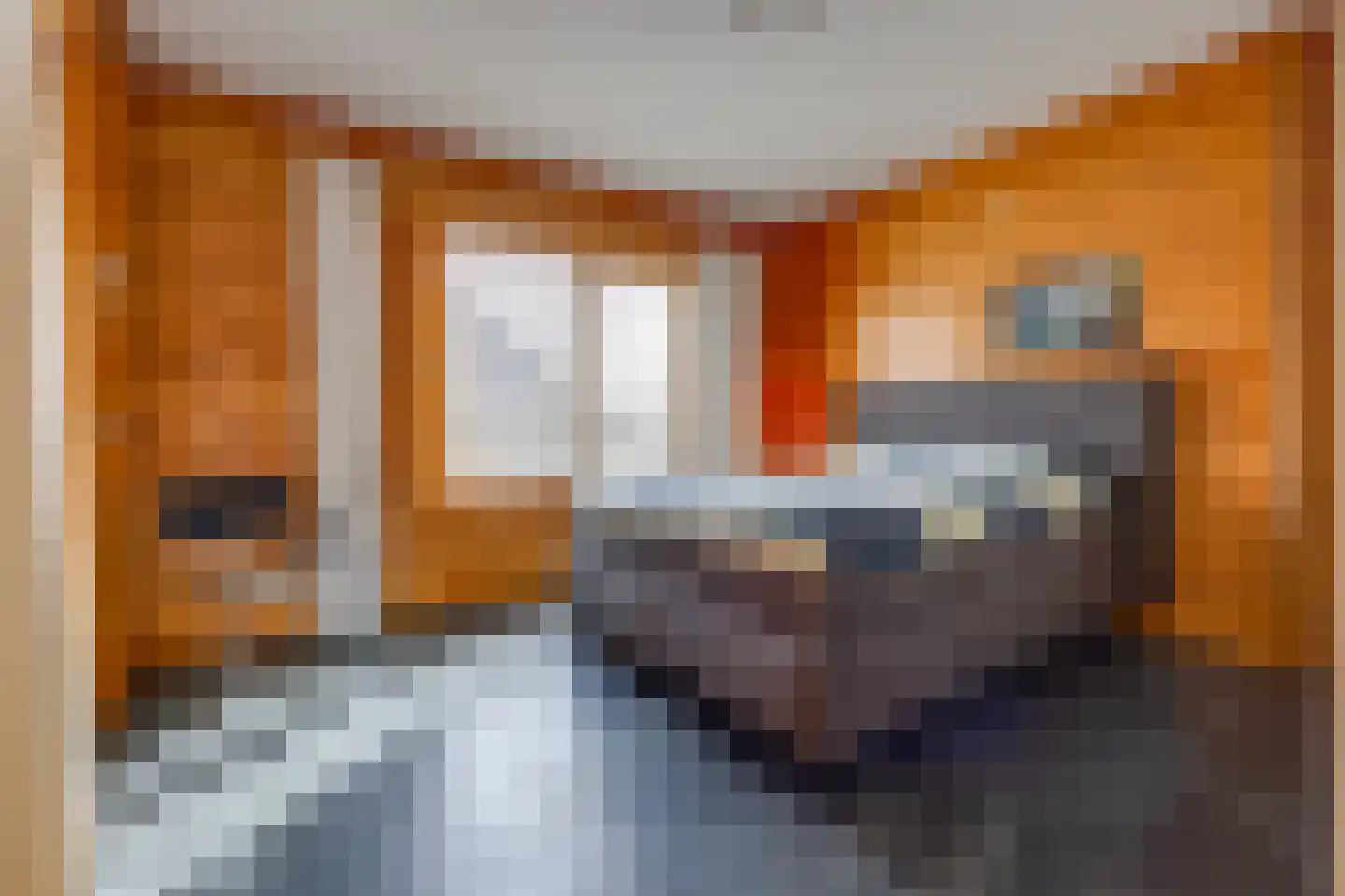 Rundezoom 33 Ter Apel thumbnail 23