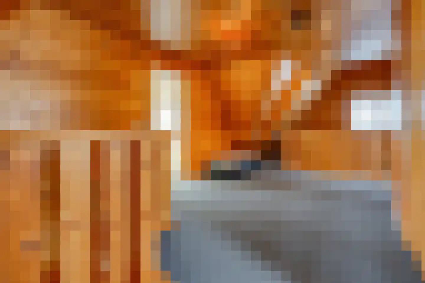 Rundezoom 33 Ter Apel thumbnail 35