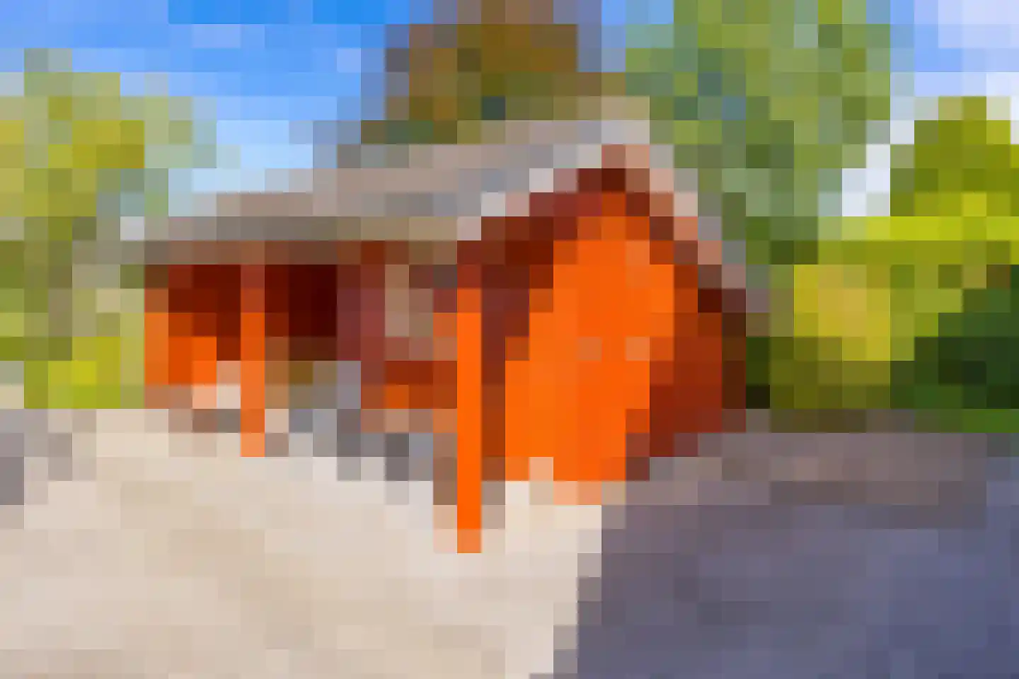 Rundezoom 33 Ter Apel thumbnail 46