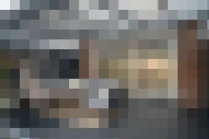 Runenberghoek 40 Enschede thumbnail 33