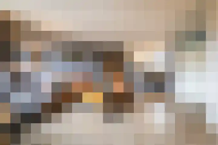 Runenberghoek 42 Enschede thumbnail 8