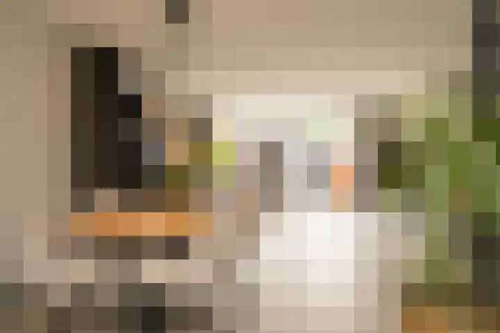 Runenberghoek 44 Enschede thumbnail 15