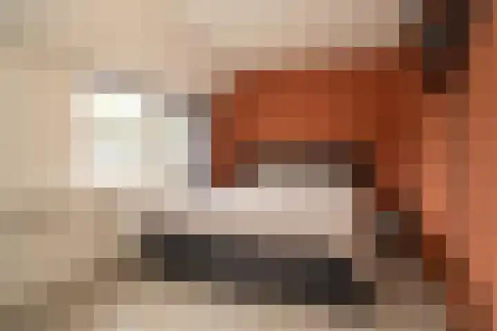 Runenberghoek 44 Enschede thumbnail 18