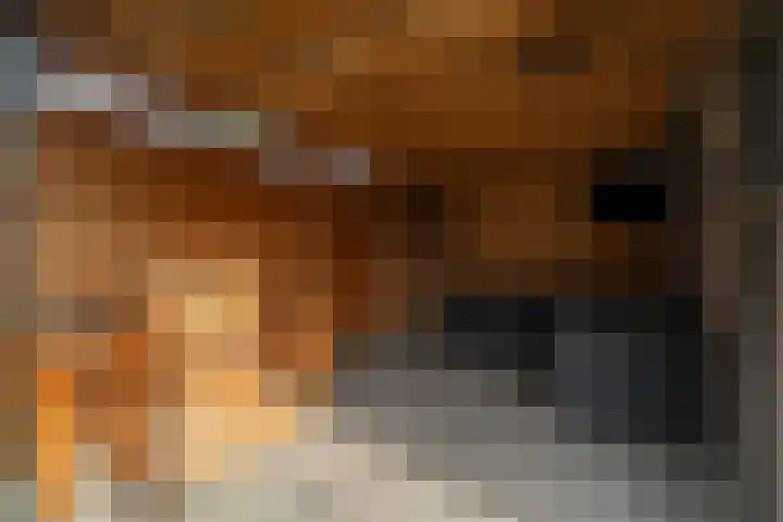 Runenberghoek 44 Enschede thumbnail 31
