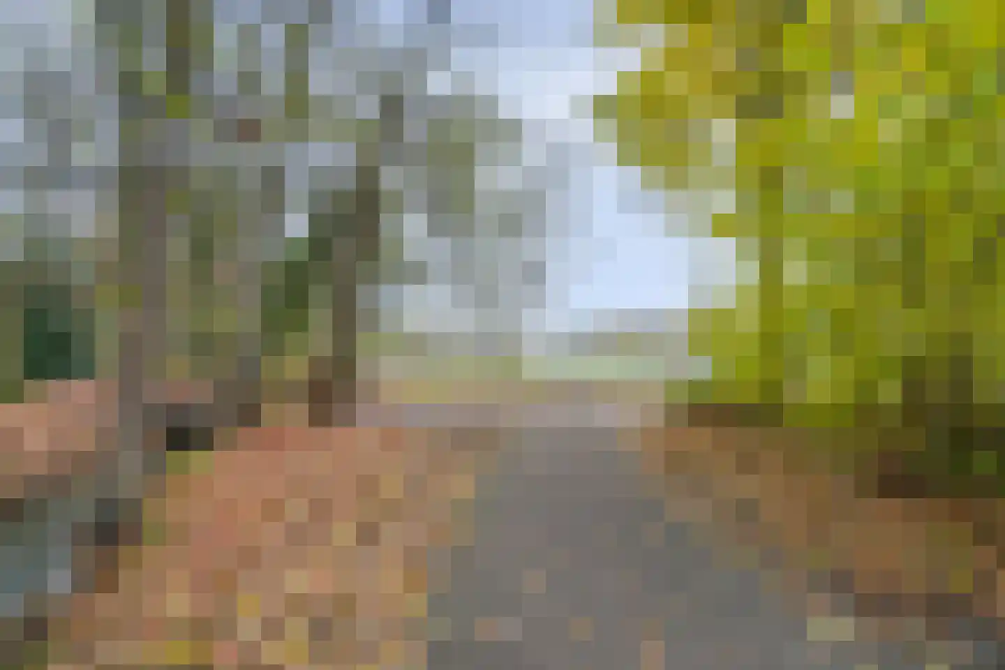 Runenberghoek 59 Enschede thumbnail 48