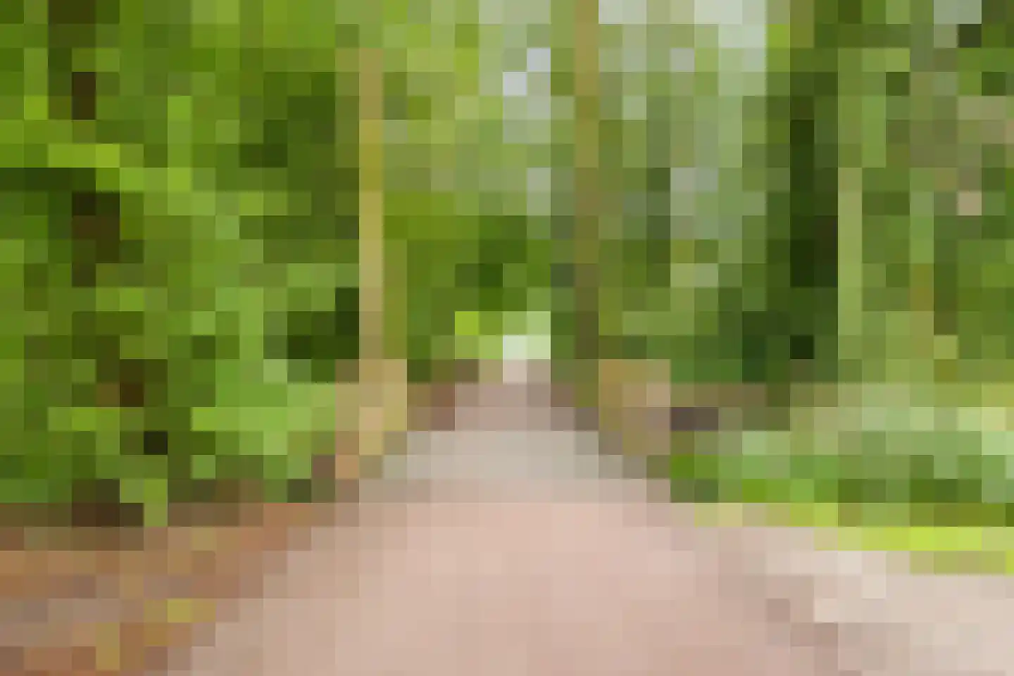 Runenberghoek 92 Enschede thumbnail 45