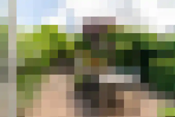 Runmolen 1 Delft thumbnail 20