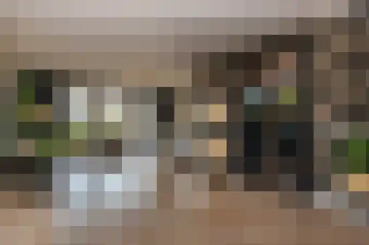 Runmolen 104 Uden thumbnail 10