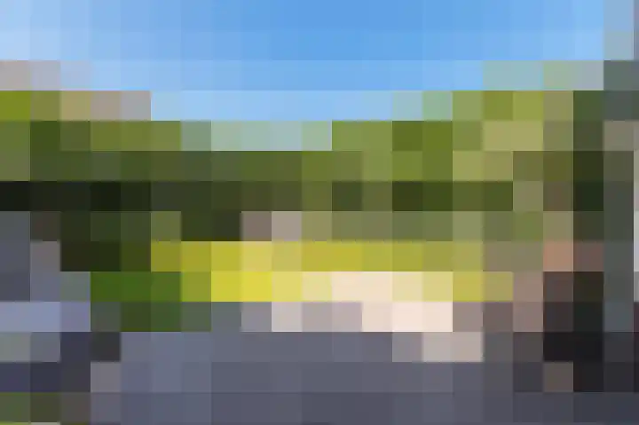 Runmolen 104 Uden thumbnail 36