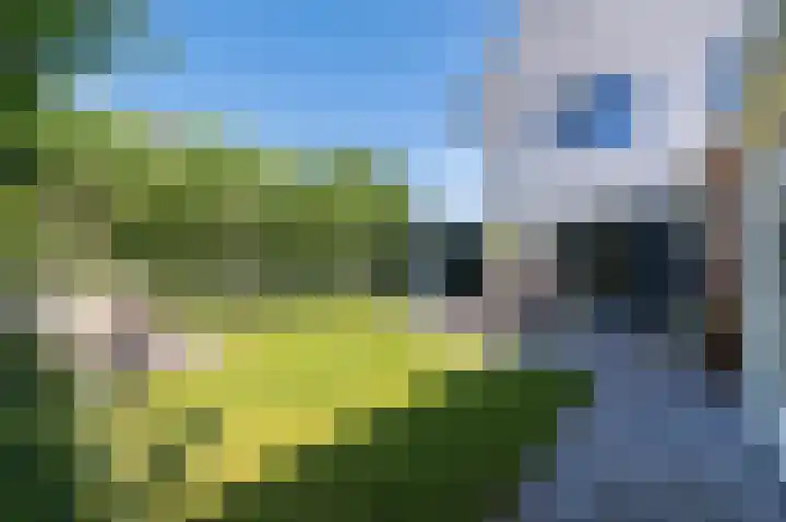 Runmolen 104 Uden thumbnail 37