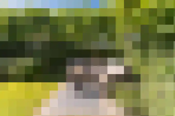Runmolen 104 Uden thumbnail 40