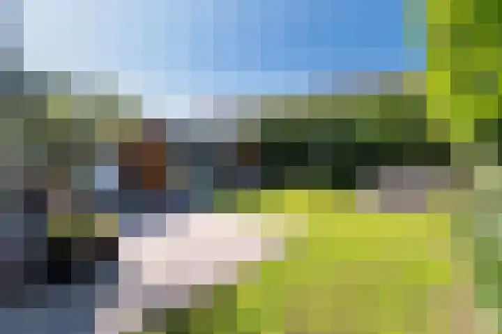 Runmolen 104 Uden thumbnail 41
