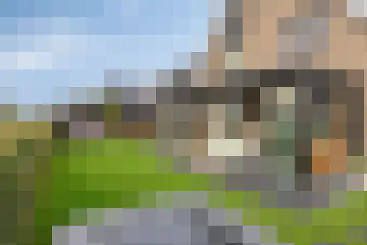 Runmolen 13 Zwolle thumbnail 34