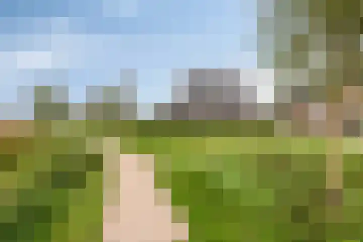Runmolen 13 Zwolle thumbnail 39