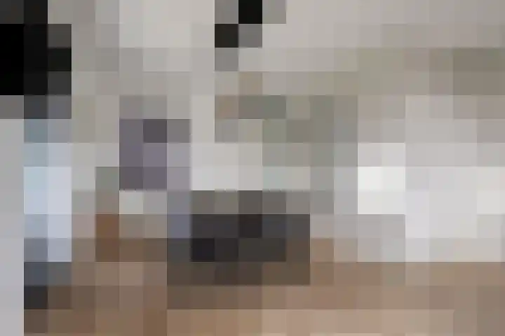 Runmolen 13 Zwolle thumbnail 7